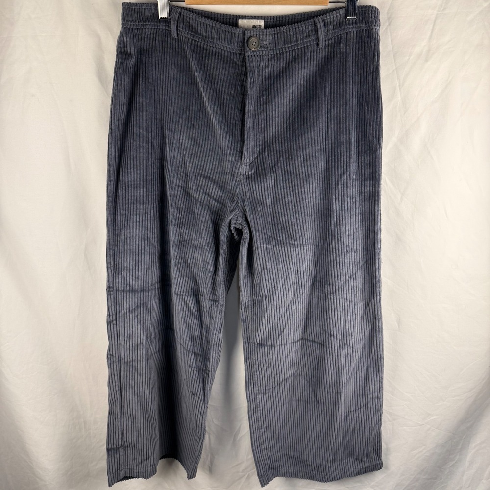 Amuse Society Good Company Gray Cropped Wide Leg Corduroy Size‎ 31 Indie Grunge